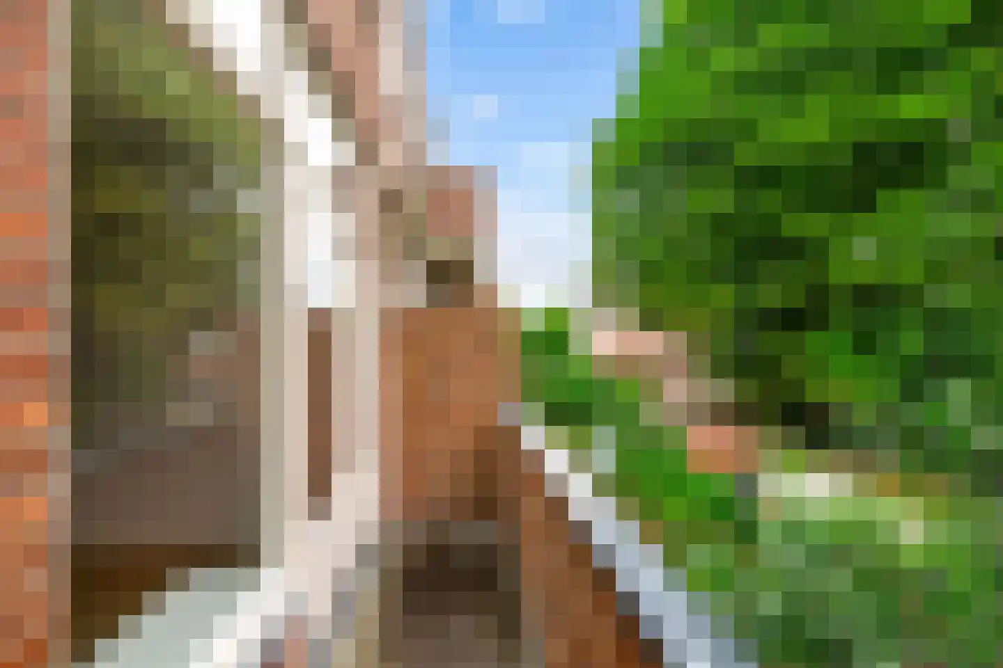 Wagnersingel 9 b Groningen thumbnail 18