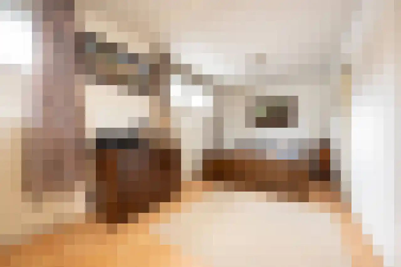 Wagnerstraat 12 Drunen thumbnail 10