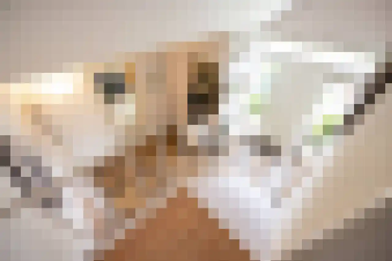 Wagnerstraat 12 Drunen thumbnail 15