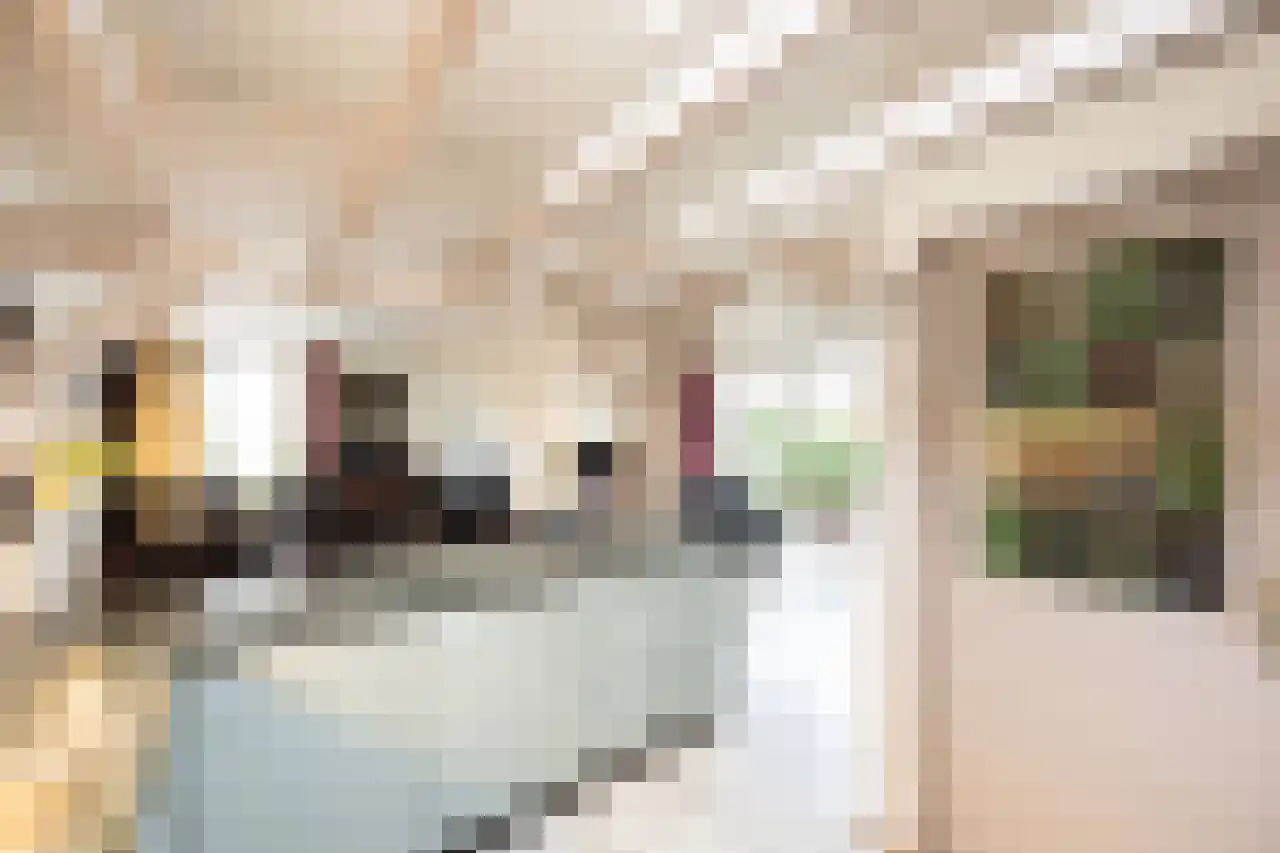 Wagnerstraat 12 Drunen thumbnail 16