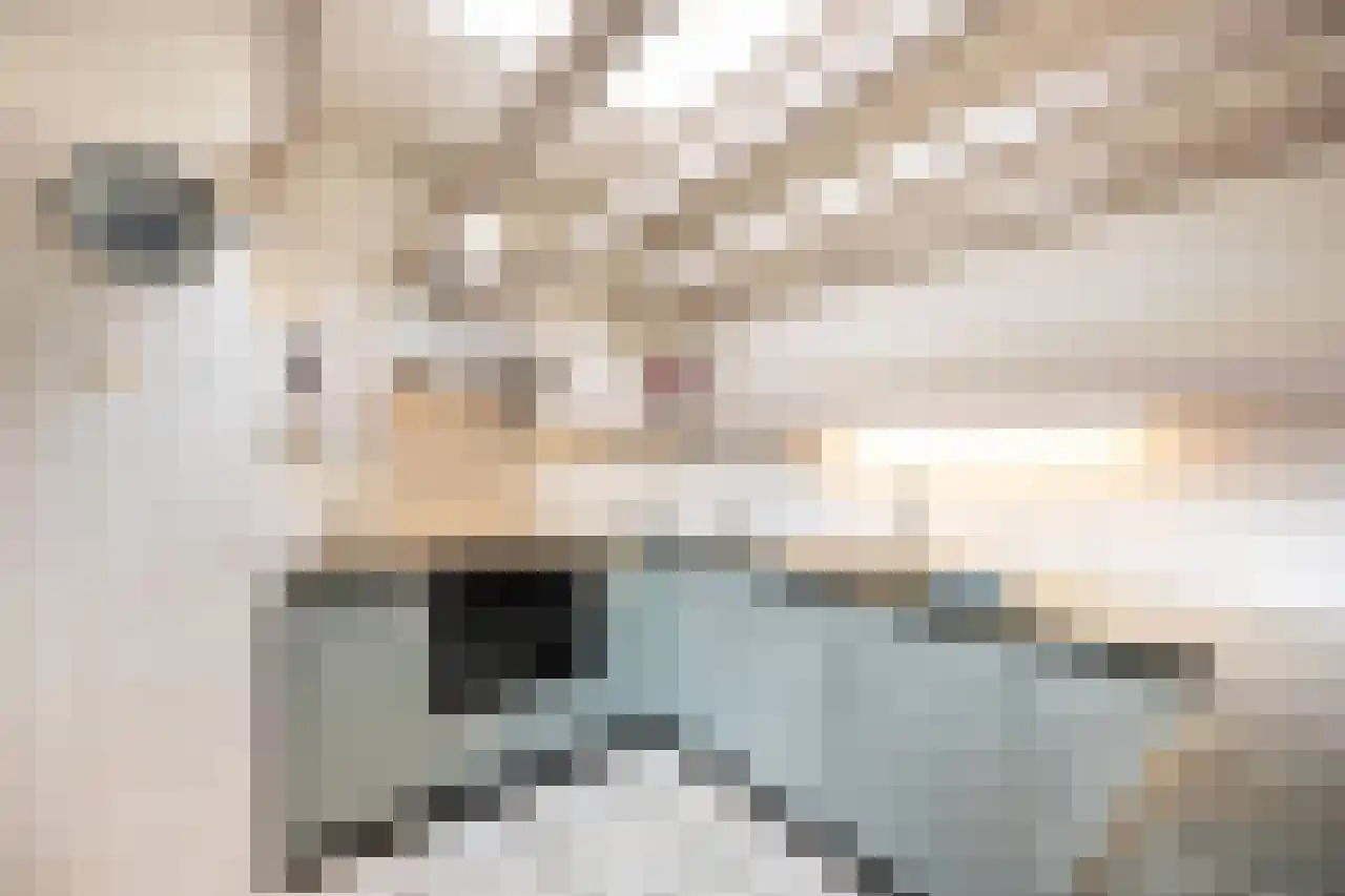 Wagnerstraat 12 Drunen thumbnail 17