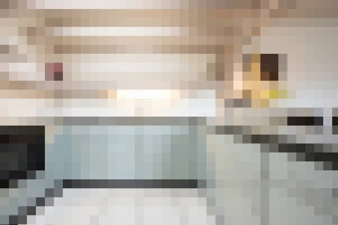 Wagnerstraat 12 Drunen thumbnail 18