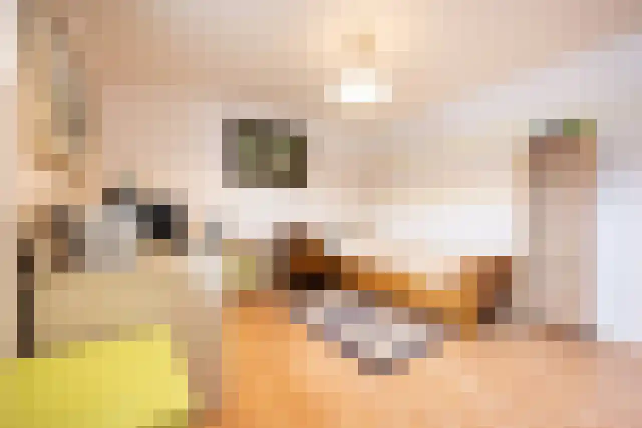 Wagnerstraat 12 Drunen thumbnail 19