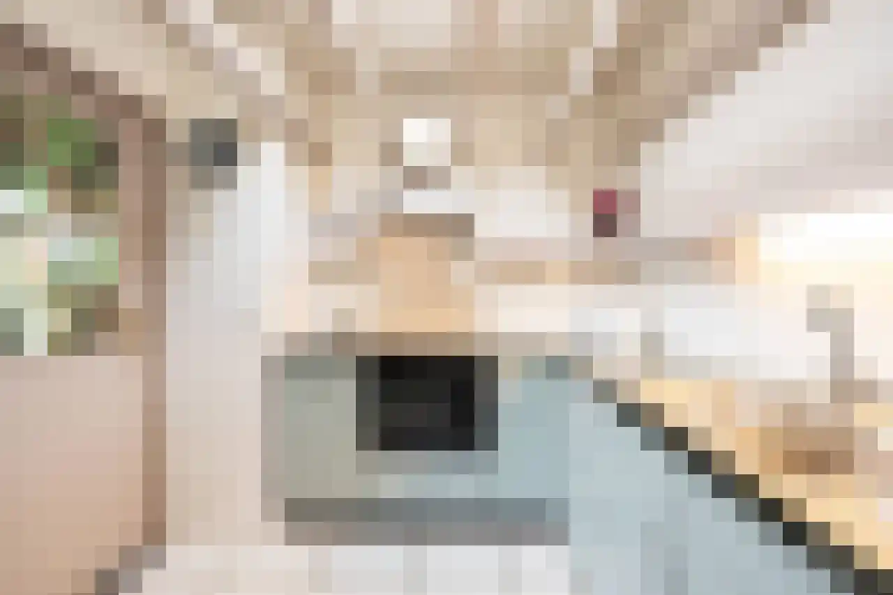 Wagnerstraat 12 Drunen thumbnail 20
