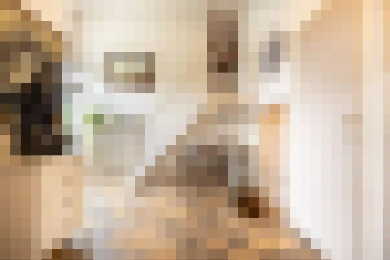 Wagnerstraat 12 Drunen thumbnail 25