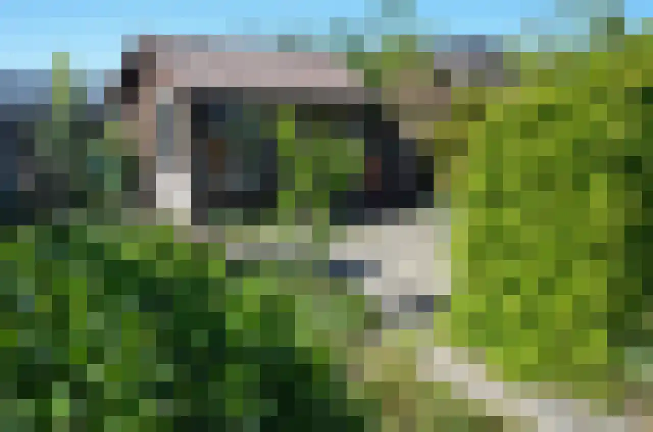 Wagnerstraat 12 Drunen thumbnail 5