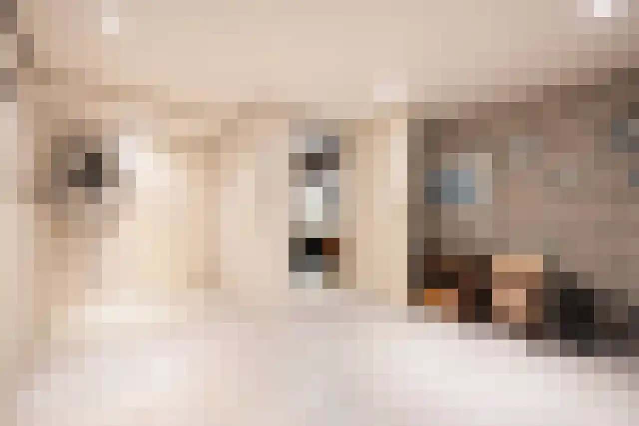 Wagnerstraat 12 Drunen thumbnail 7