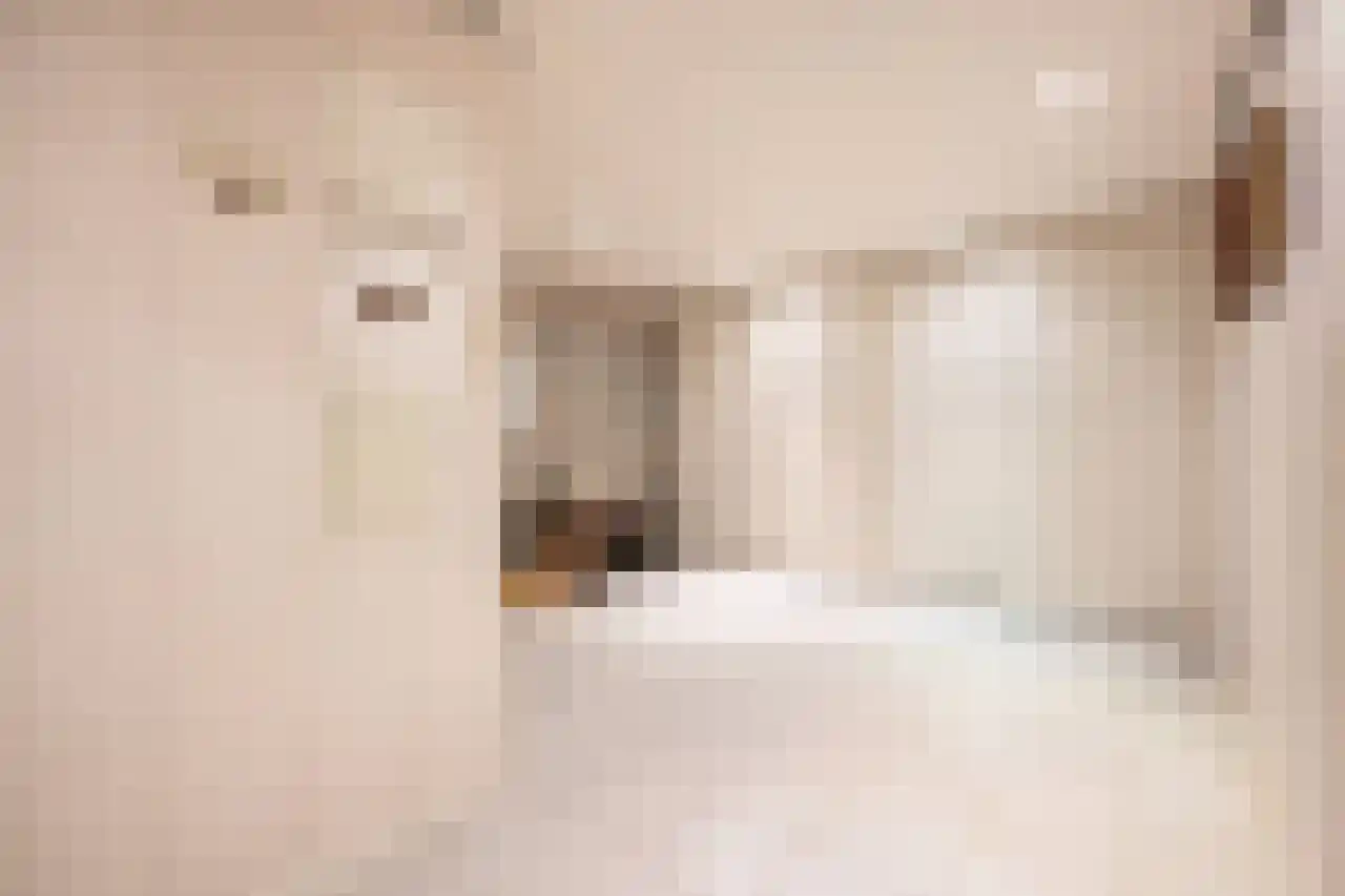 Wagnerstraat 12 Drunen thumbnail 8