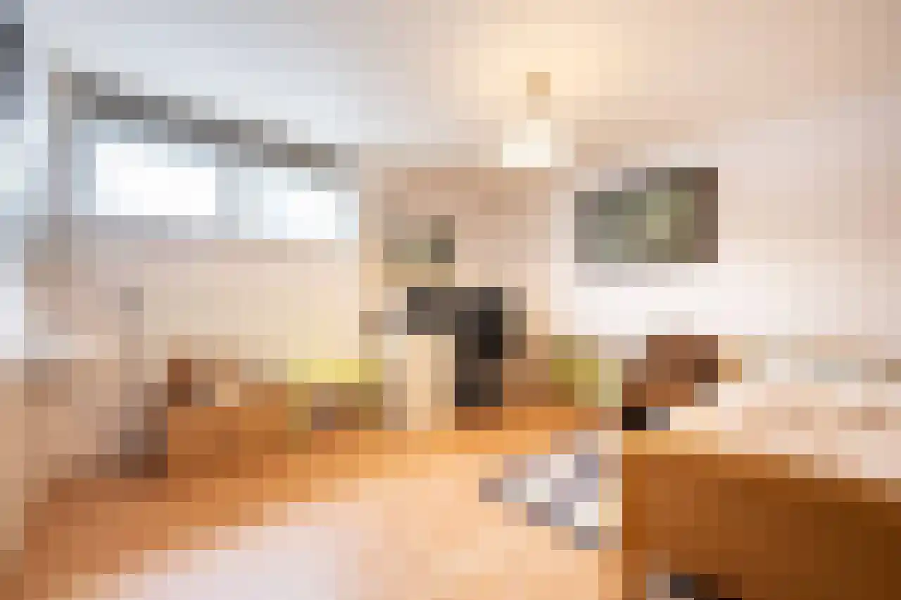 Wagnerstraat 12 Drunen thumbnail 9
