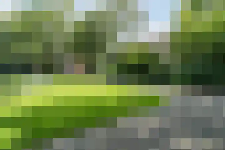 Wagnerstraat 17 Vlaardingen thumbnail 33