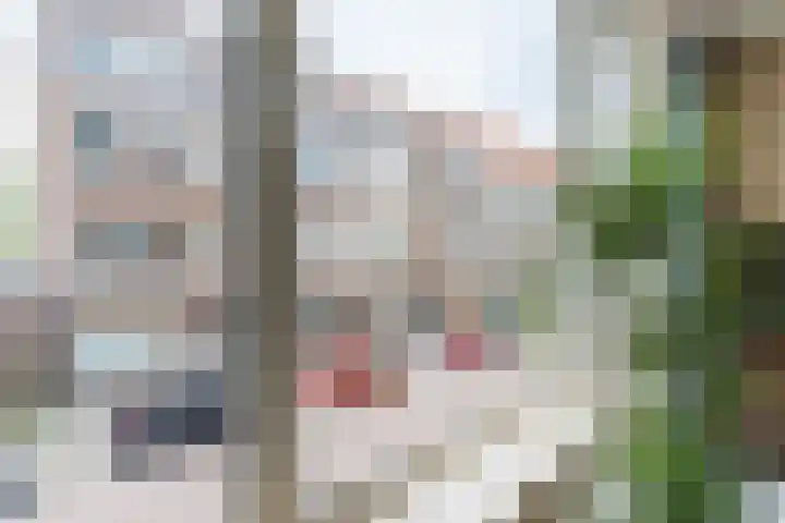 Wagnerstraat 17 Vlaardingen thumbnail 9
