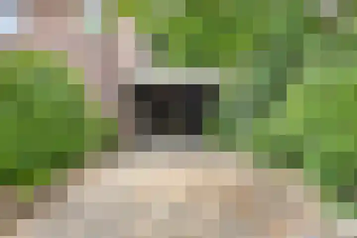 Wagnerstraat 2 Kaatsheuvel thumbnail 32