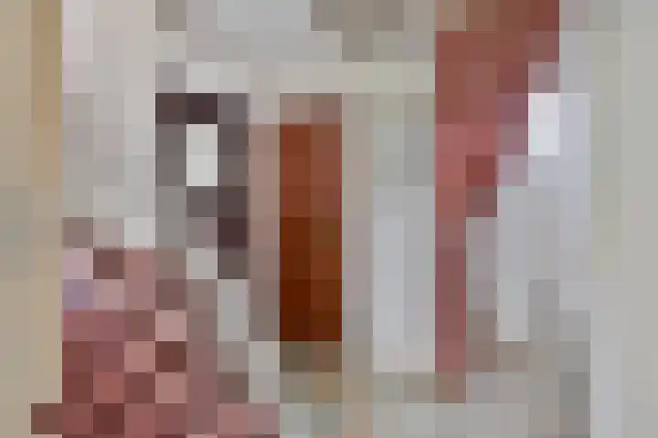 Wagnerstraat 2 Kaatsheuvel thumbnail 4
