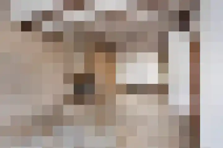 Wagnerstraat 2 Kaatsheuvel thumbnail 6