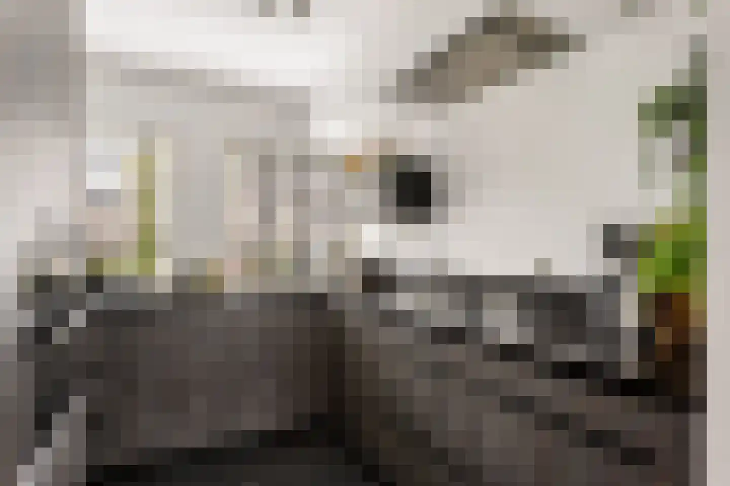 Wagnerstraat 22 Almere thumbnail 4