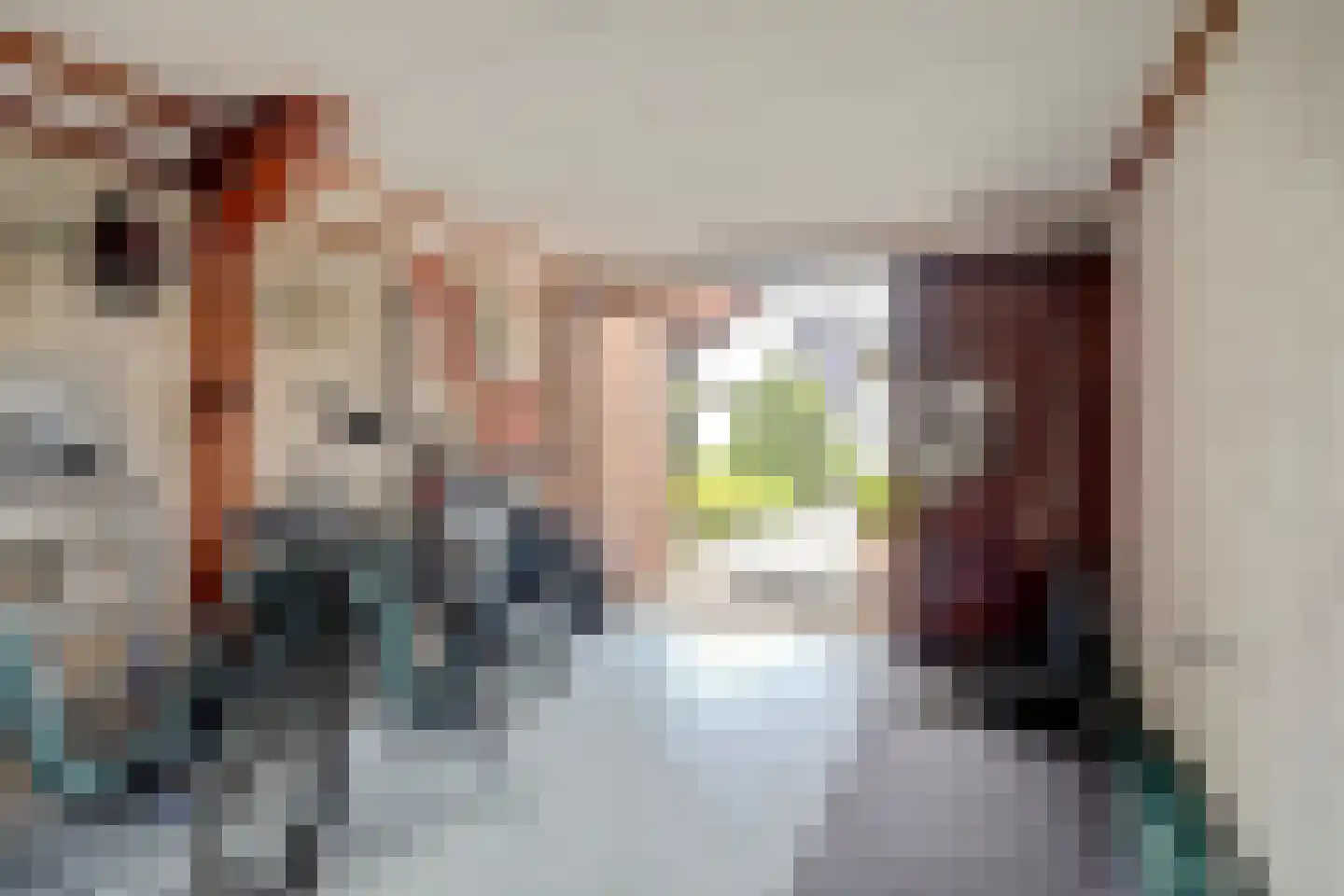 Wagnerstraat 24 Haaksbergen thumbnail 31