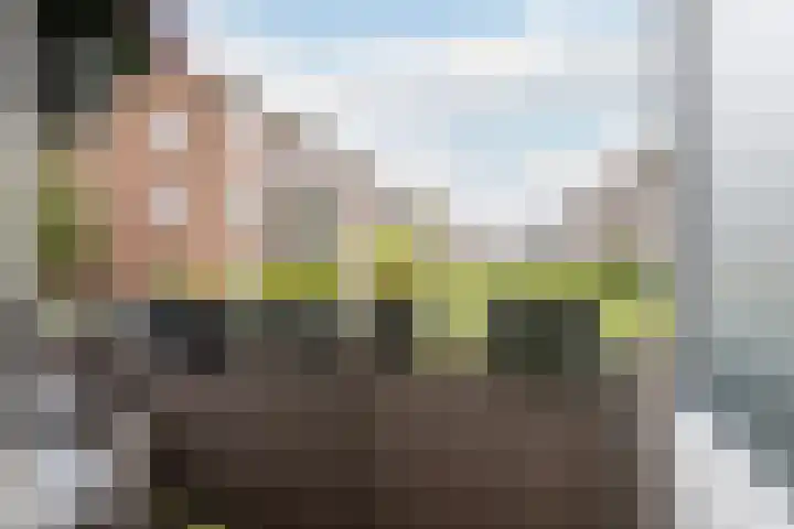Wagnerstraat 25 A Vlaardingen thumbnail 22
