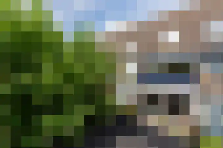 Wagnerstraat 25 Maassluis thumbnail 24