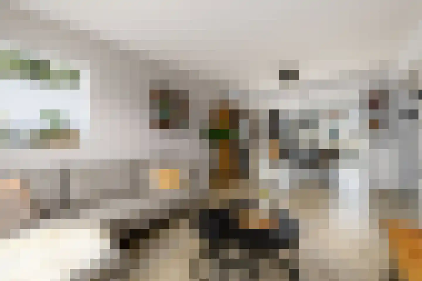 Wagnerstraat 26 Wolvega thumbnail 5