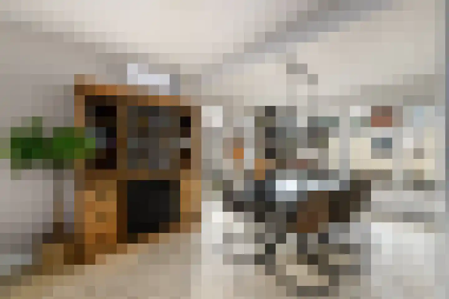Wagnerstraat 26 Wolvega thumbnail 8