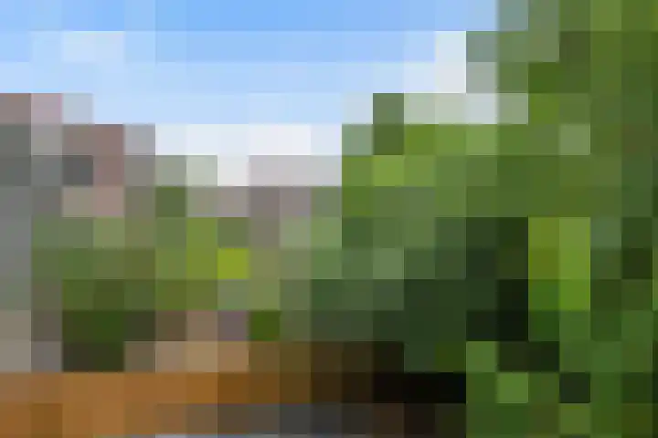 Wagnerstraat 3 D Vlaardingen thumbnail 18