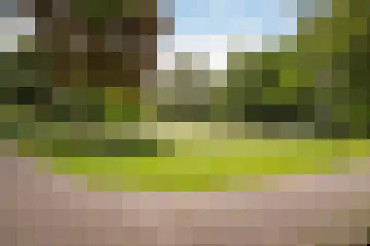Wagnerstraat 3 D Vlaardingen thumbnail 5