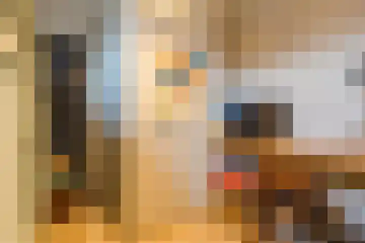 Wagnerstraat 3 Halsteren thumbnail 10