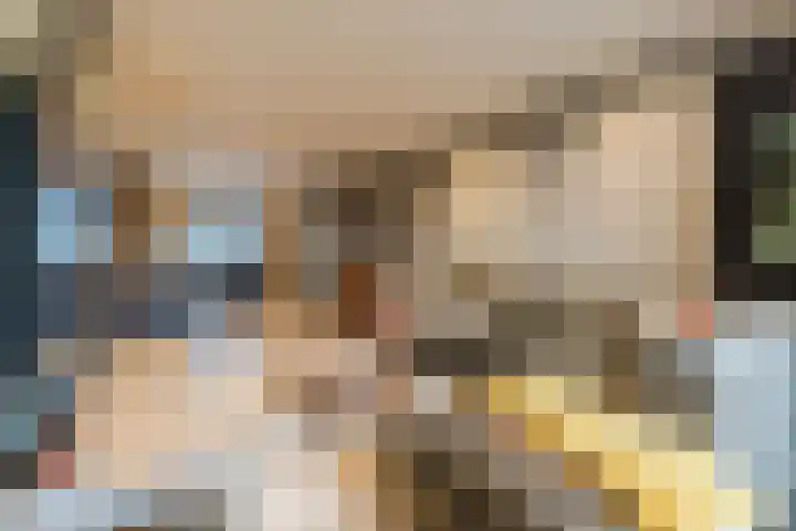 Wagnerstraat 3 Halsteren thumbnail 11