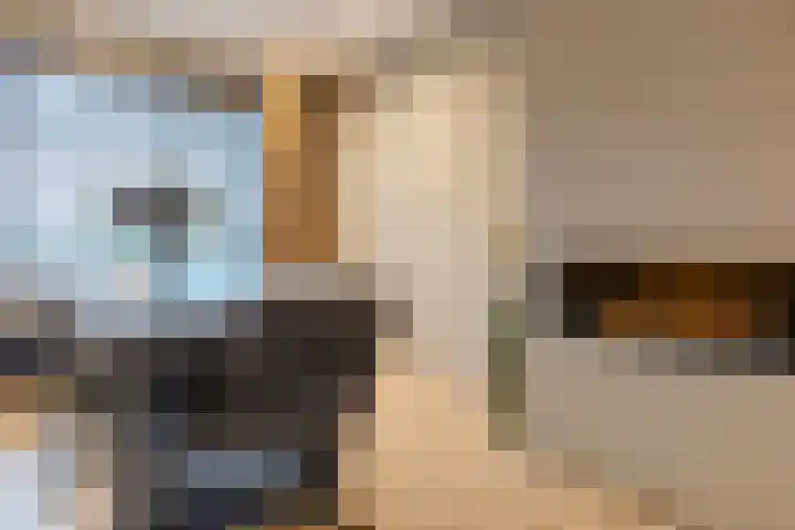 Wagnerstraat 3 Halsteren thumbnail 13