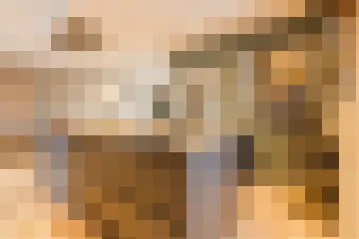 Wagnerstraat 3 Halsteren thumbnail 16