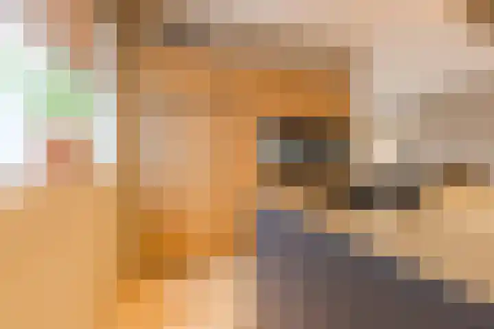 Wagnerstraat 3 Halsteren thumbnail 17