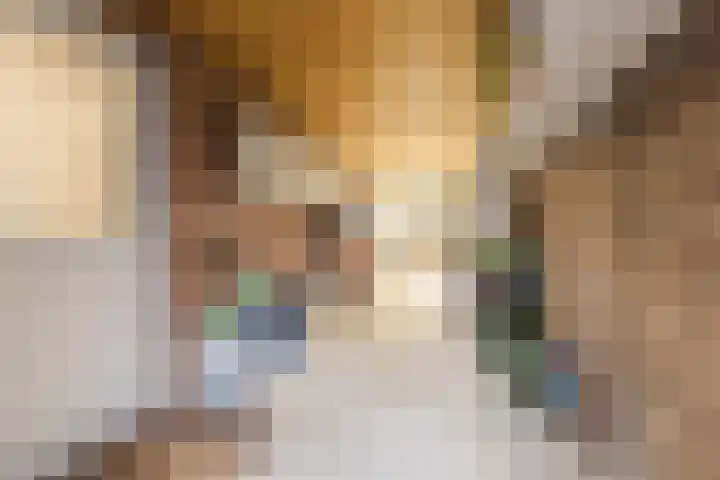 Wagnerstraat 3 Halsteren thumbnail 18