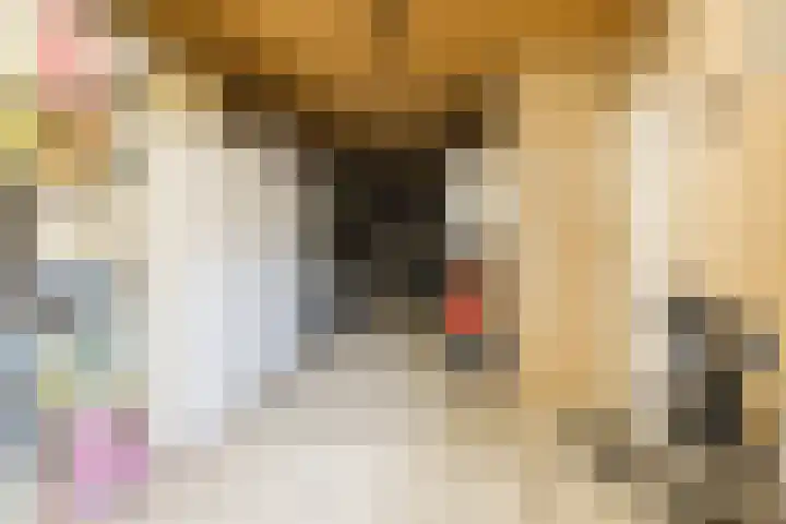 Wagnerstraat 3 Halsteren thumbnail 19