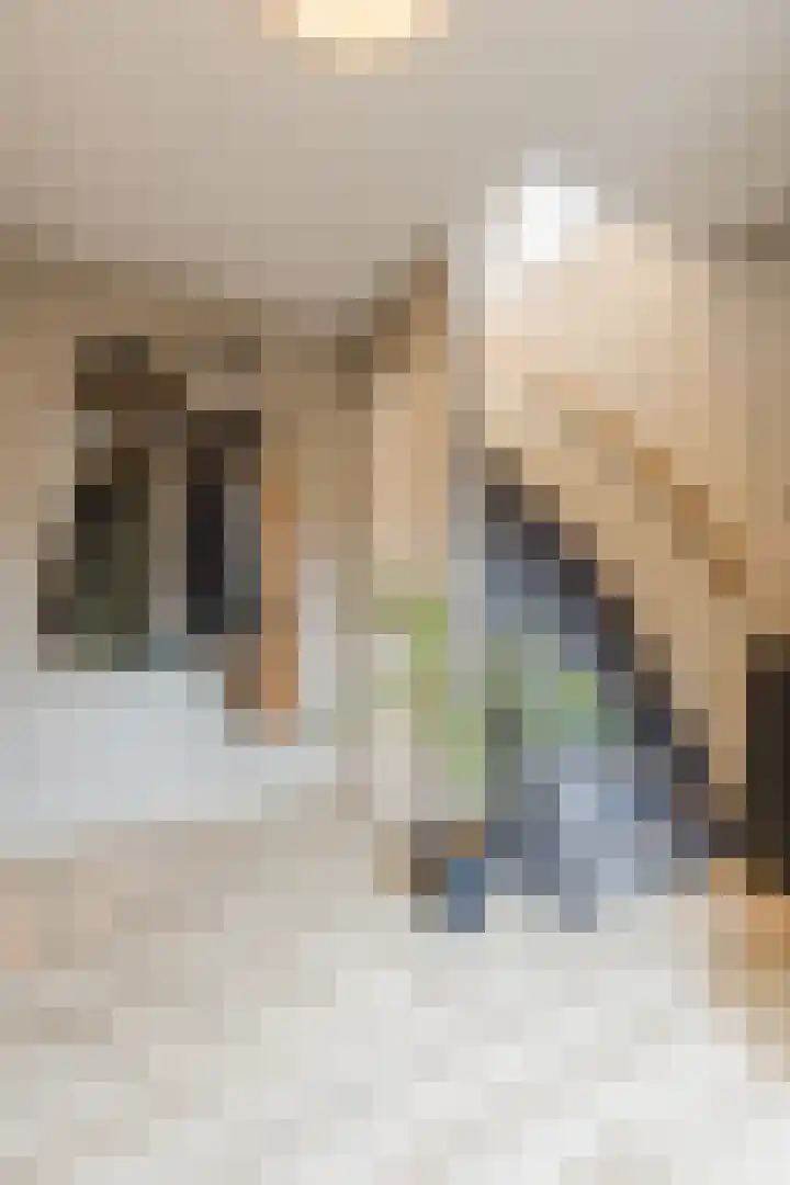 Wagnerstraat 3 Halsteren thumbnail 20