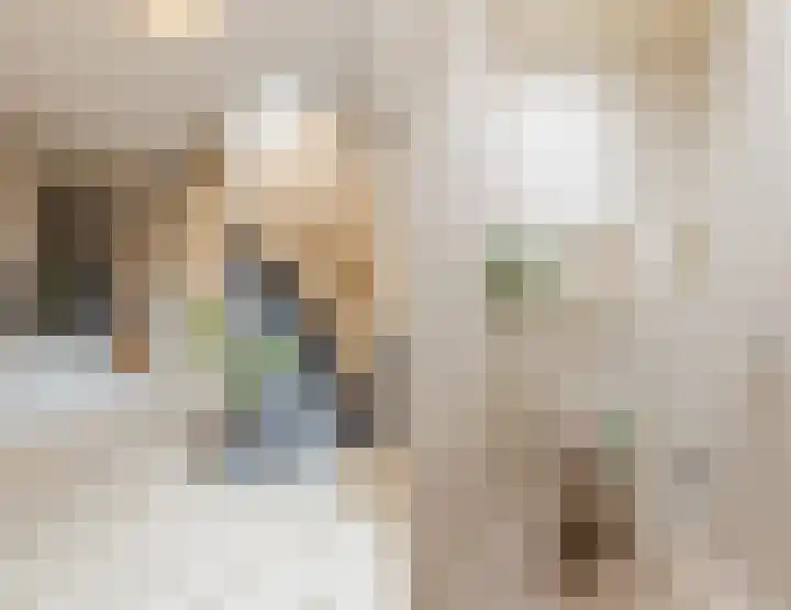 Wagnerstraat 3 Halsteren thumbnail 22