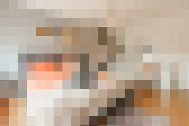 Wagnerstraat 3 Halsteren thumbnail 25