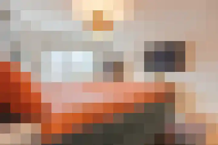 Wagnerstraat 3 Halsteren thumbnail 26