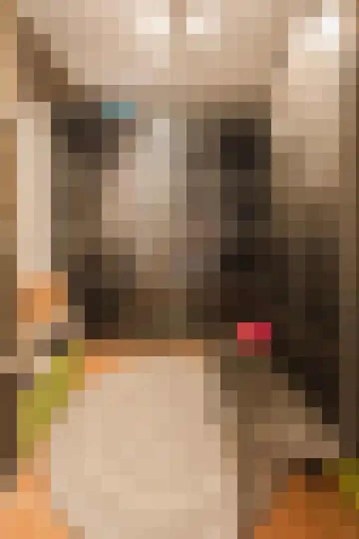 Wagnerstraat 3 Halsteren thumbnail 30