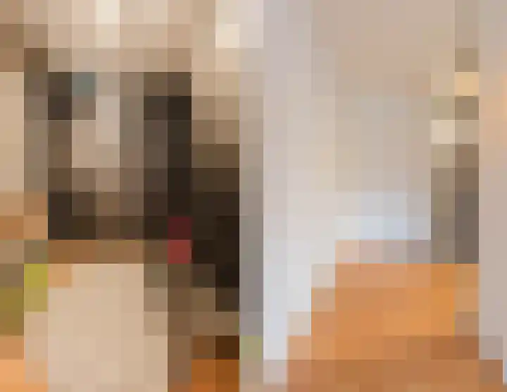 Wagnerstraat 3 Halsteren thumbnail 32
