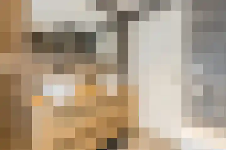 Wagnerstraat 3 Halsteren thumbnail 36