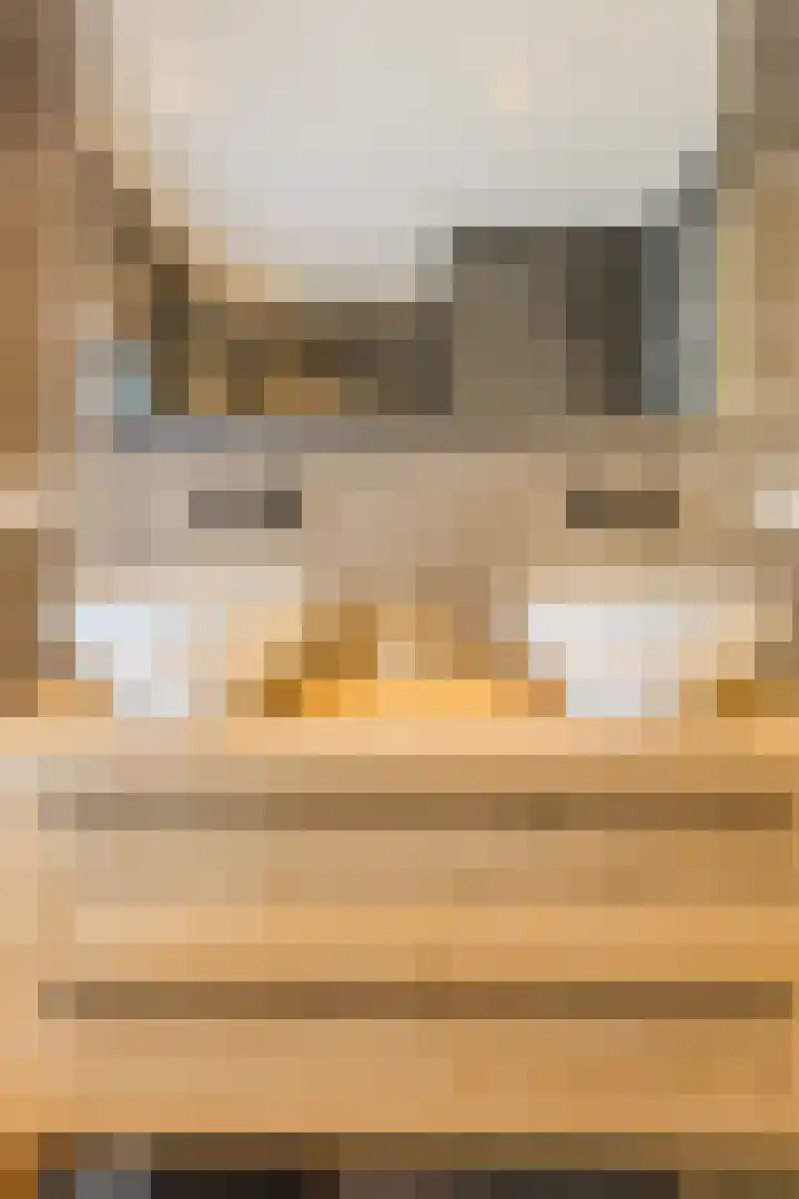 Wagnerstraat 3 Halsteren thumbnail 37