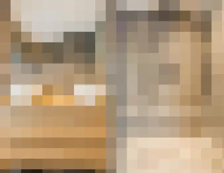 Wagnerstraat 3 Halsteren thumbnail 39