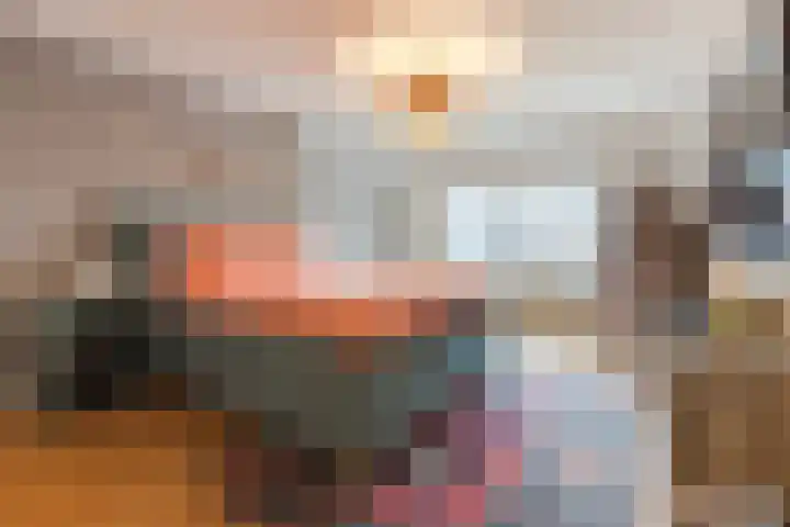Wagnerstraat 3 Halsteren thumbnail 4