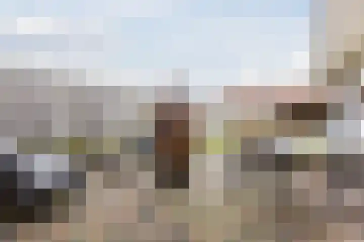 Wagnerstraat 3 Halsteren thumbnail 43