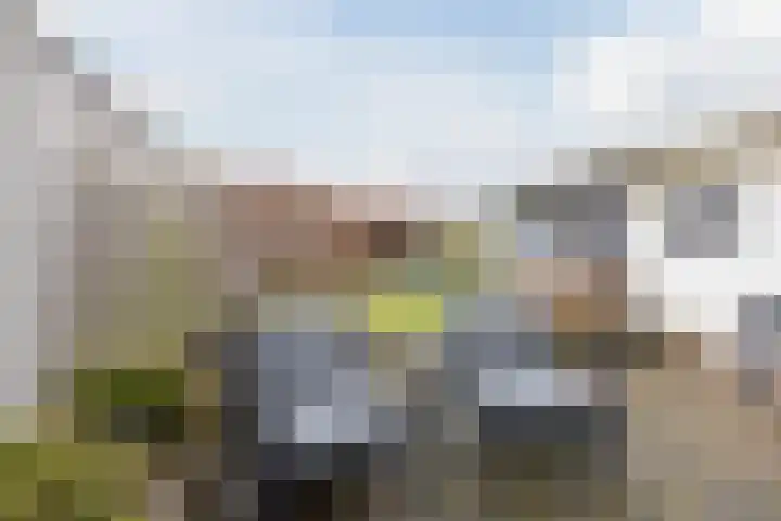 Wagnerstraat 3 Halsteren thumbnail 44