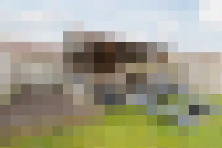Wagnerstraat 3 Halsteren thumbnail 46