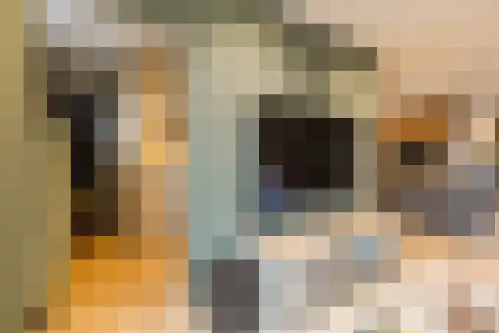 Wagnerstraat 3 Halsteren thumbnail 9