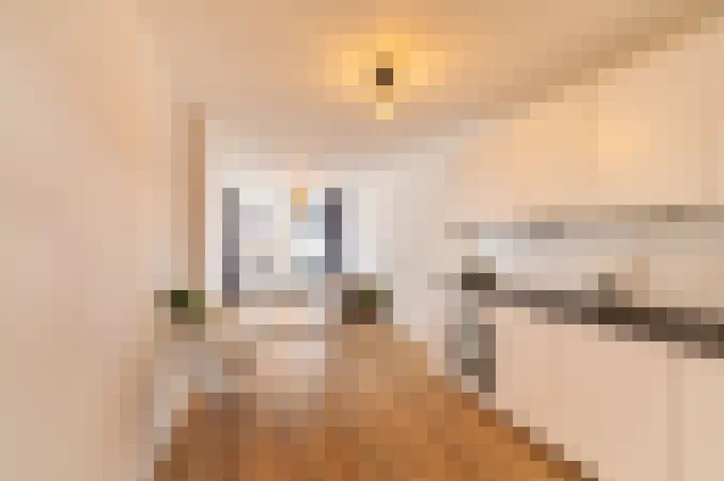 Wagnerstraat 4 B Vlaardingen thumbnail 15
