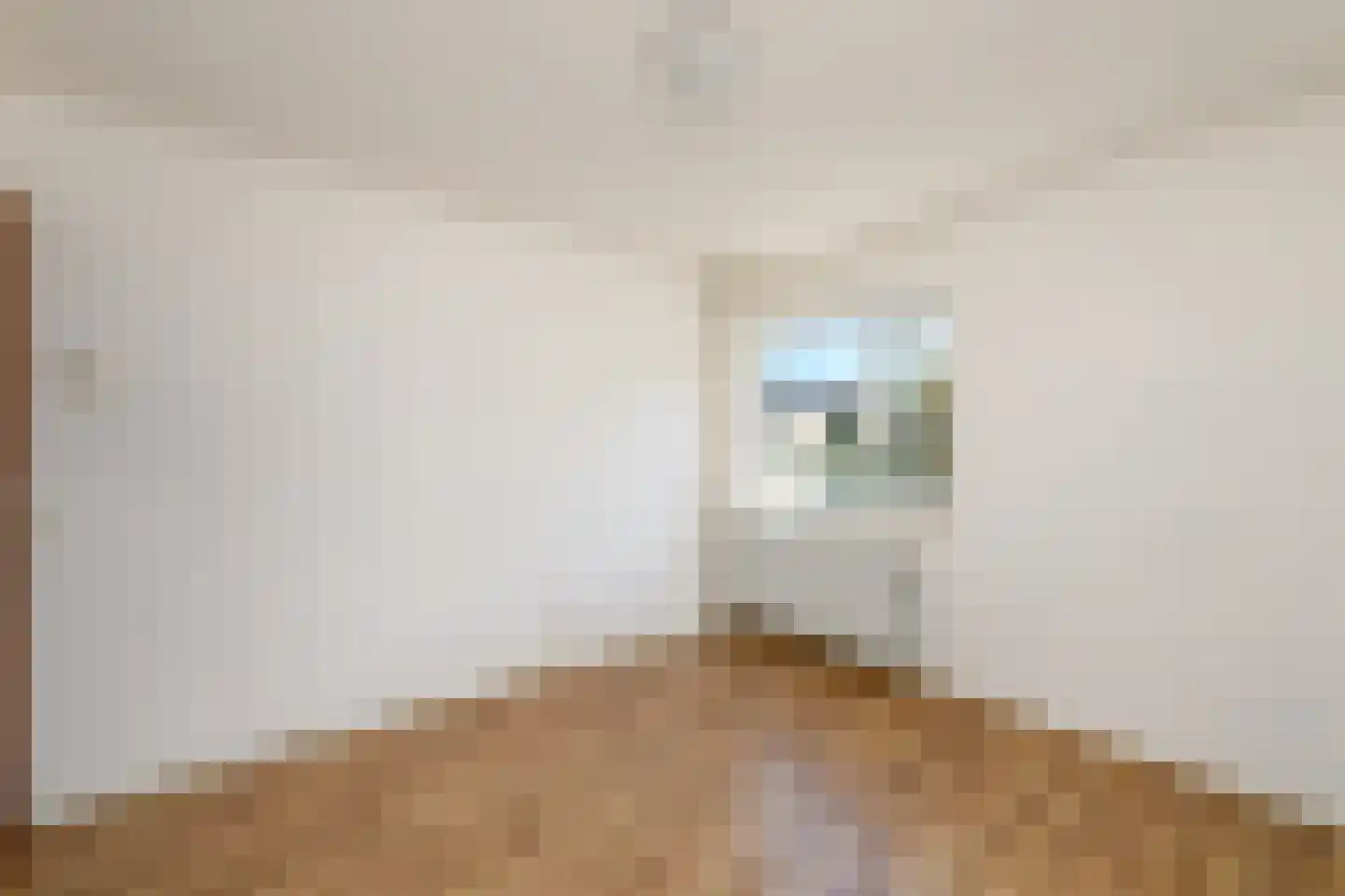 Wagnerstraat 47 Wolvega thumbnail 18
