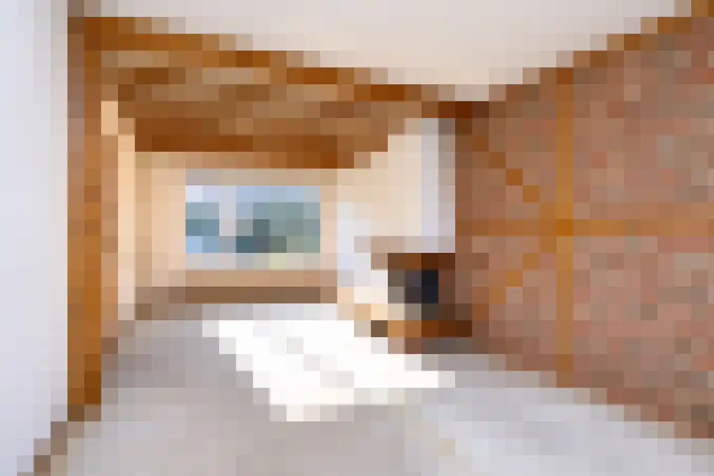 Wagnerstraat 5 Eerbeek thumbnail 8